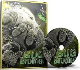 NG, BugBrother